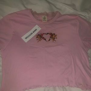 Urban outfitters pink angel crop top